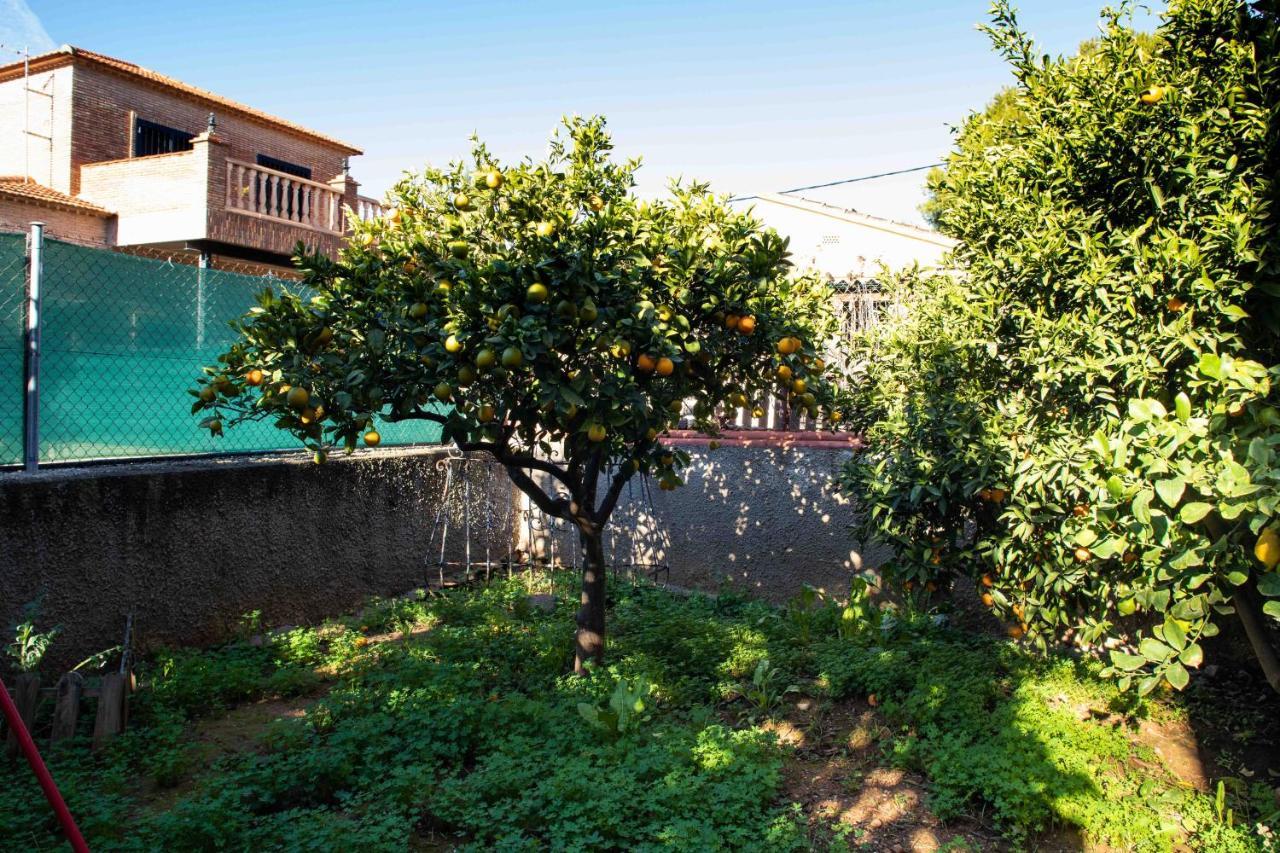 Florit Flats - The Orange Lemon Tree House Villa La Eliana Buitenkant foto